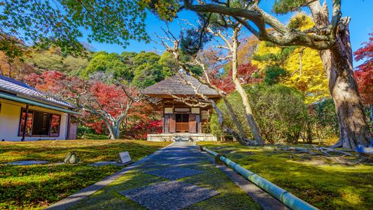 ～日本の秋、色彩の秋！～