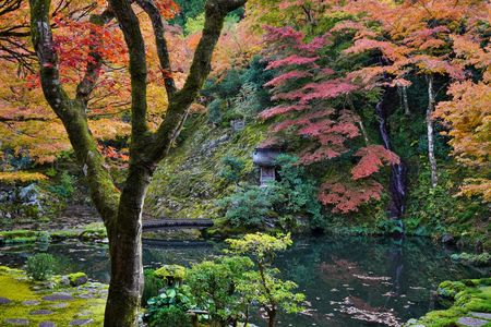 郡上市　慈恩禅寺　荎草園