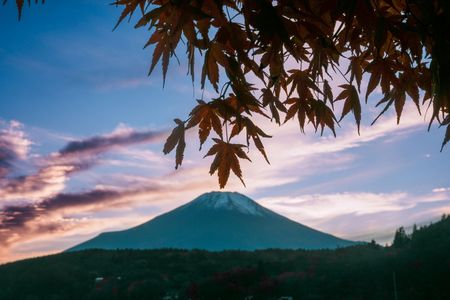紅葉と富士山