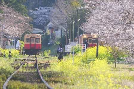 春爛漫の里見駅