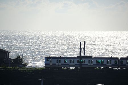 朝陽を浴びる通勤電車