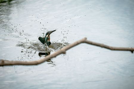 しぶきを纏って