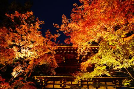 東漸寺 紅葉