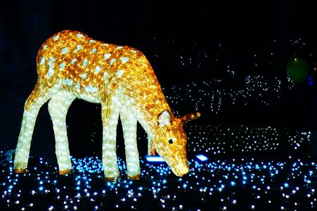 なら瑠璃絵の鹿さん