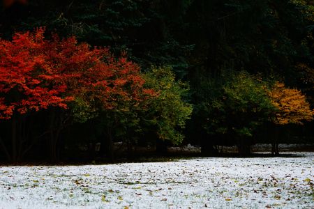 季節の境目