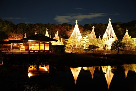 日本庭園夜景