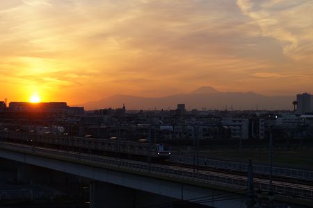 西日と富士と、東横線。
