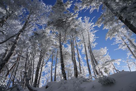 八ヶ岳ブルー　天狗岳