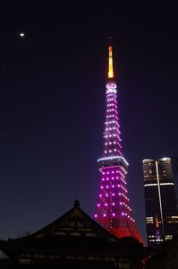 ホワイトデーの東京タワー