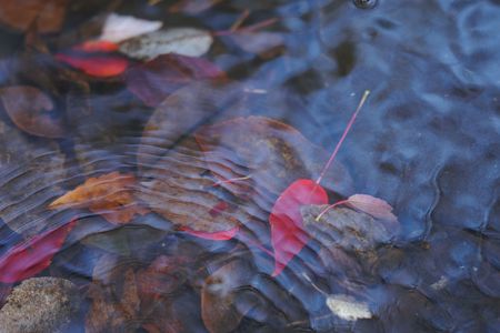 揺らぎの中で眠る