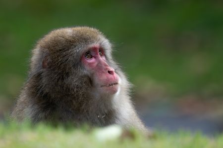 お山でのんびりと．．．