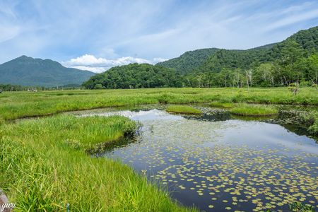 初めての尾瀬