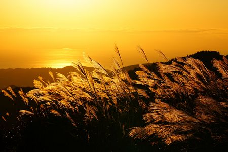 秋の夕日に照らされて♪