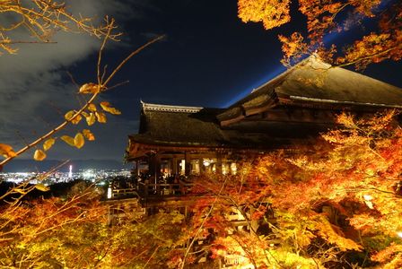 秋夜の清水寺2
