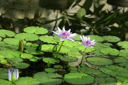 凛とした佇まい