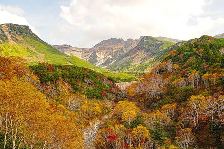 最高地点の紅葉と青い池2025