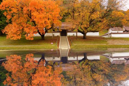 紅葉リフレクション