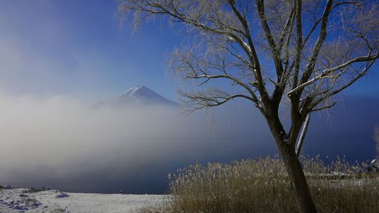 新雪と霧の河口湖