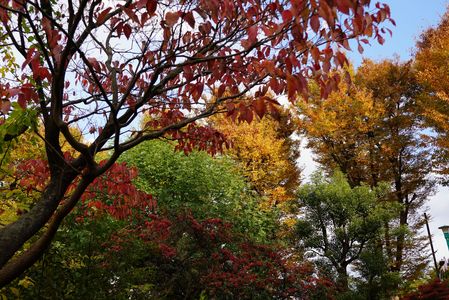 身近にある実りの秋