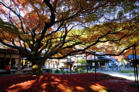 山奥の紅葉寺②