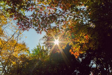 続(52)　FM77.5MHz「あなたも、DJ！」放送しました。