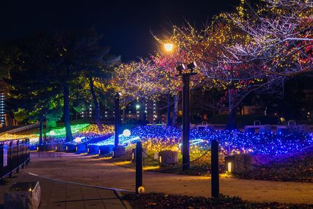 灯りに導かれて