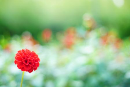 １０月のエピローグ