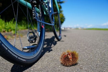 三種の神器　～秋のサイクリング編～