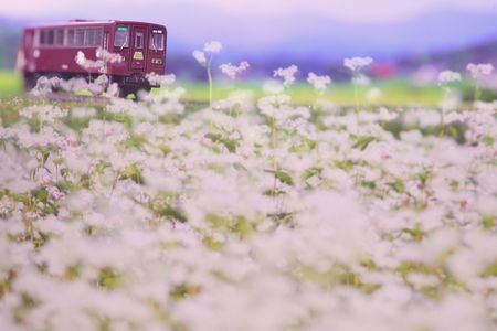 写真展のお知らせ　11/20（木）~11/23（日）