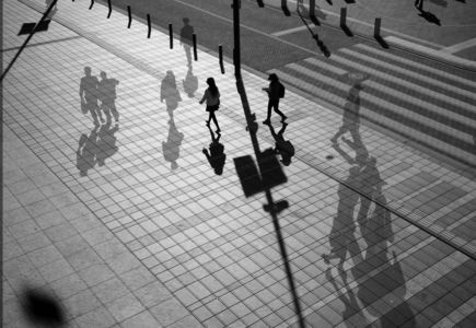 Bold and Faint ― silhouettes and shadows ―