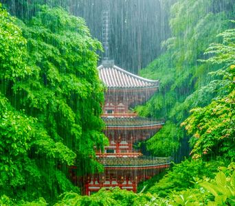 豪雨の岩船寺
