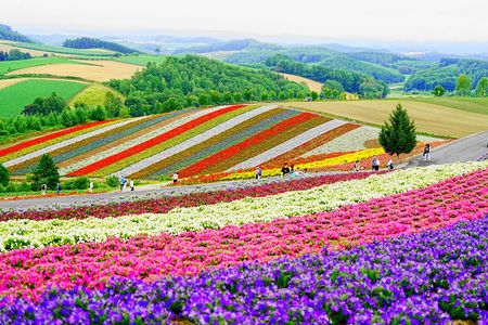 丘の風景　ーー　あなたは化粧派？　それともすっぴん派？　ーー