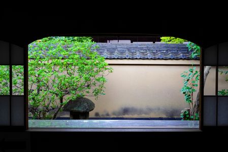 長月　紫野　――　陰翳　――