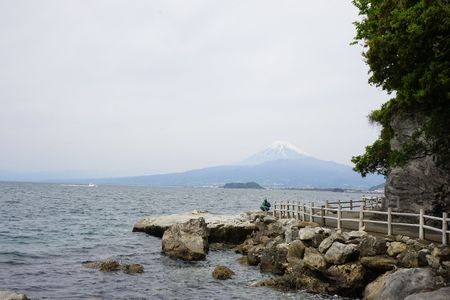 あわしまからの富士山