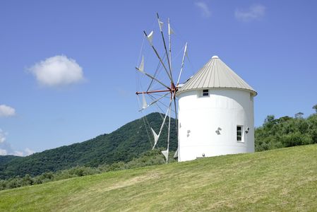 オリーブ畑の風車