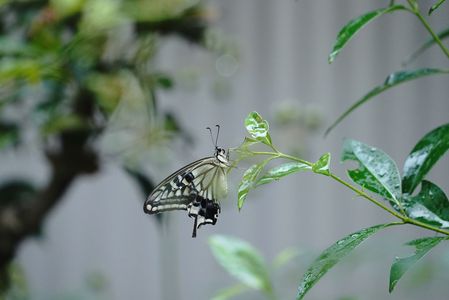 🦋１泊２日の旅!!