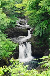 滝に宿る鳳の声