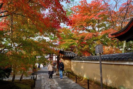 高台寺の紅葉