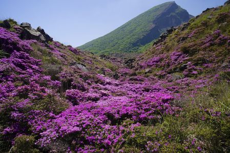 えびの高原硫黄山