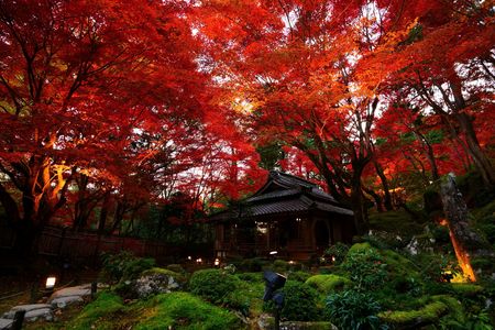 紅く燃ゆる山寺