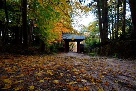 落葉の百済寺