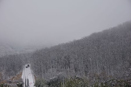 九州の雪