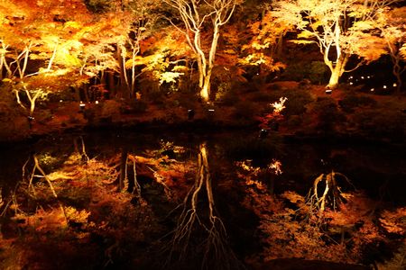 秋の水鏡