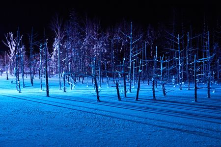 青の世界　冬の夜