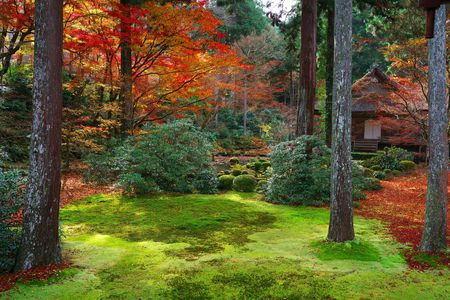 晩秋の京都巡り～三千院～