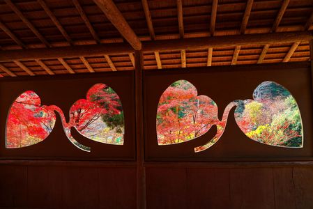 晩秋の京都巡り～白龍園～