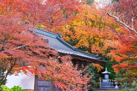散策もみじ寺