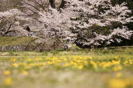 さくらはず〜と・龍岡城址内廃小学校