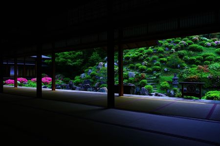 新緑の京都散策