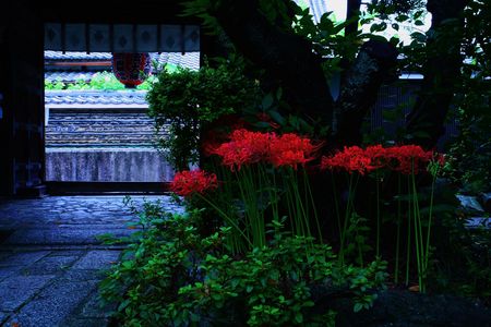 秋色の京都散策